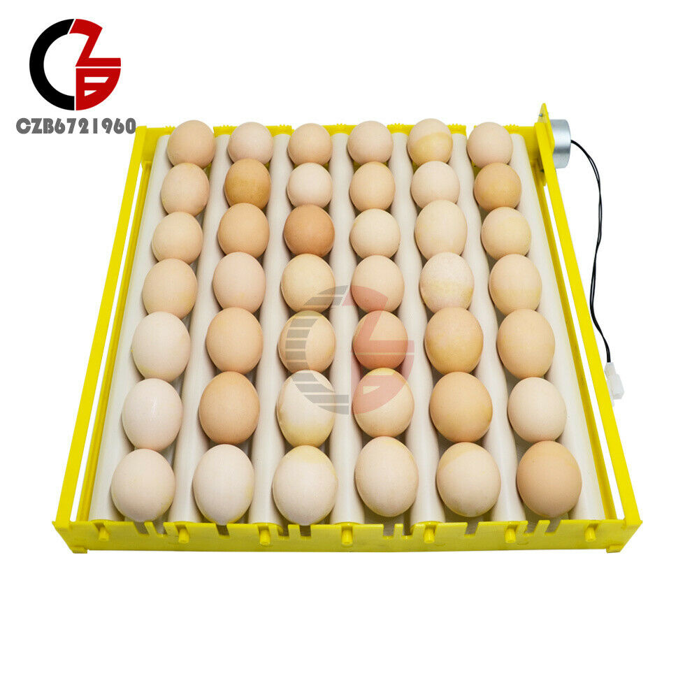 Eggs Brooder Roller Tray Turner Full Incubator Household Automatic Rotary Tool