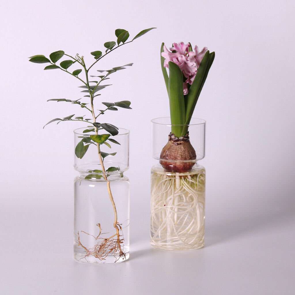4pieces Glass Hydroponic Glass Pot Flower Plant Terrarium