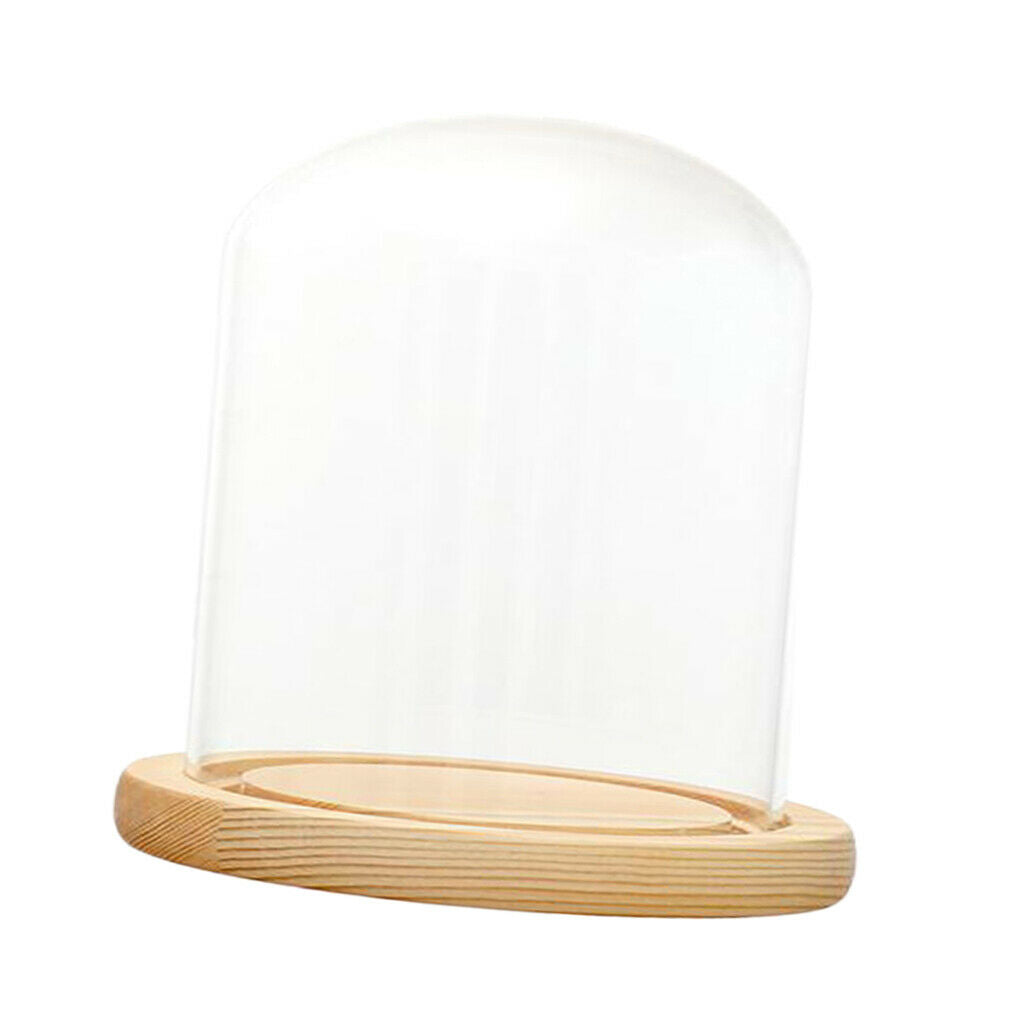 Clear Glass Display Dome with LED Wood Base Microlandscape Holder E 12x12cm