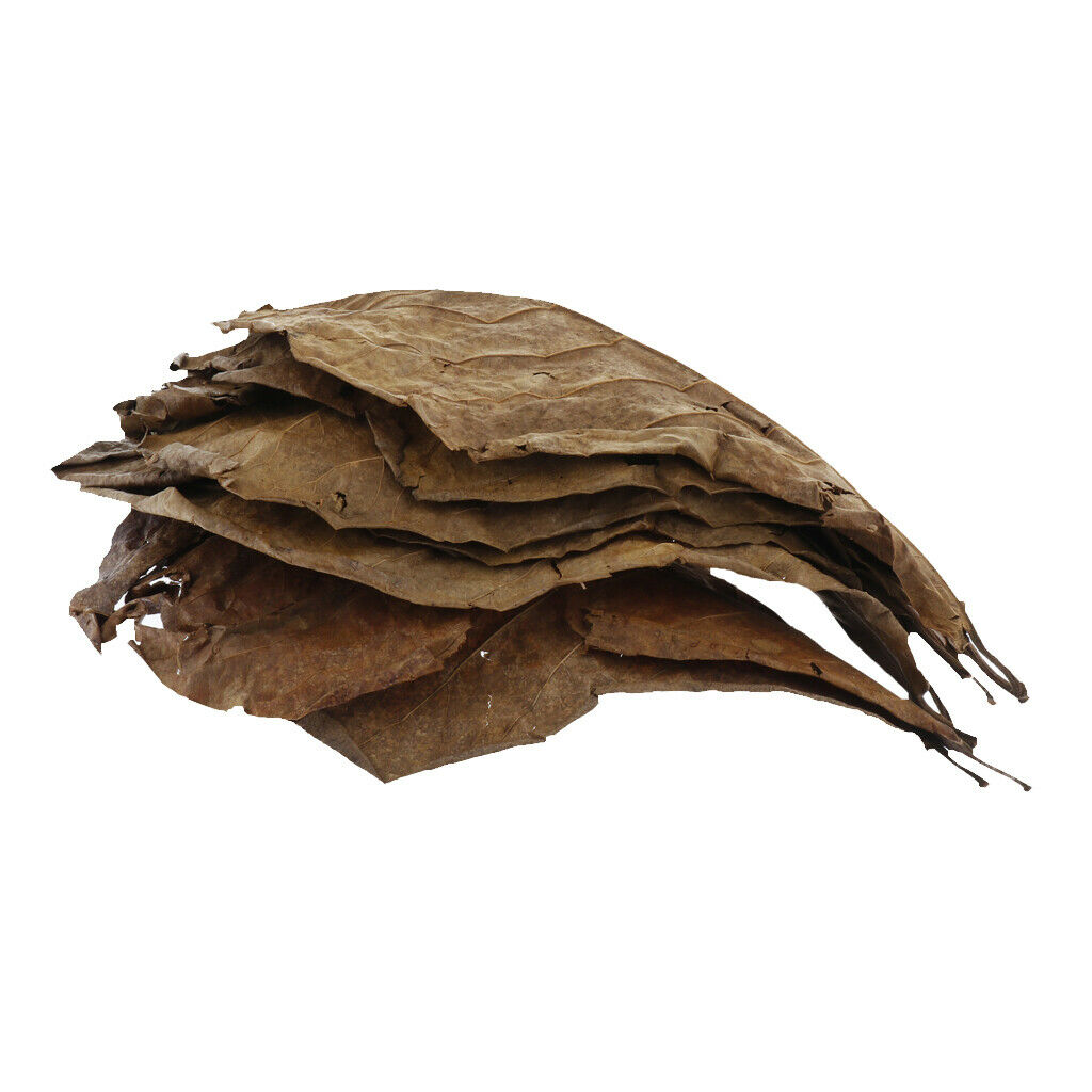 10pcs Leaves For Freshwater Aquariums