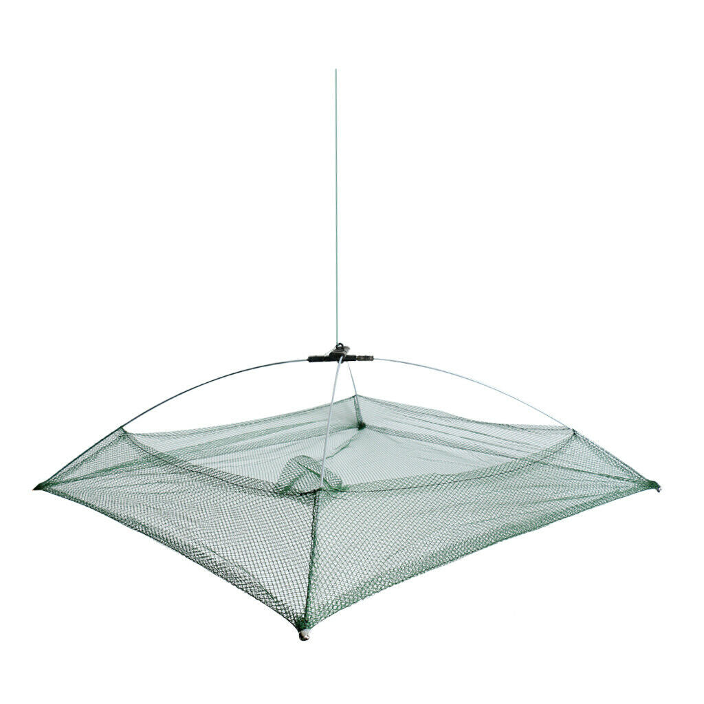 Fishing net for bait fish traps Crab traps fishing 60 x 60 cm fishing