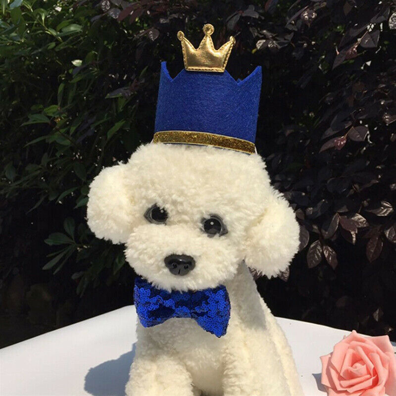 Pets Dogs Cats Birthday Party Cap Princess Crown Hat Puppy Kitten Headwea.l8