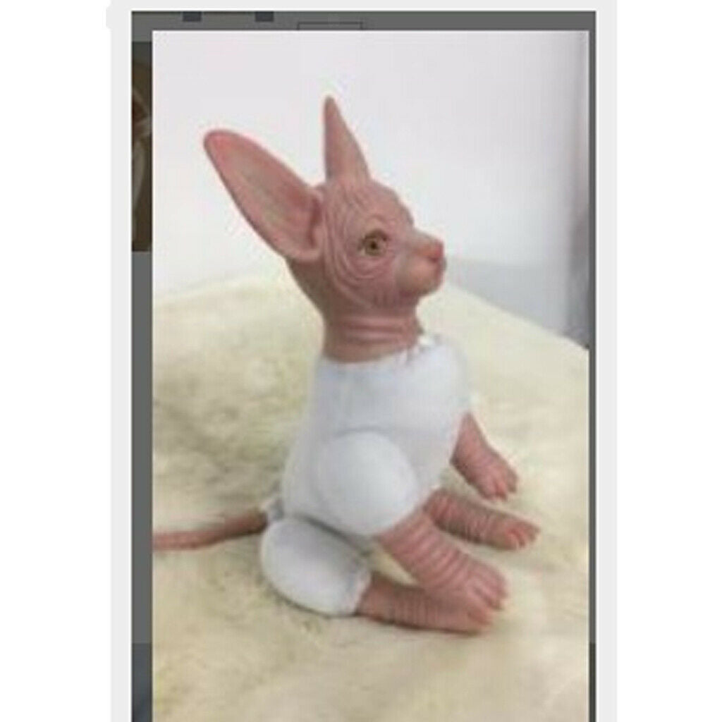 Realistic Cat Mold Soft Full Silicone Canadian Hairless Cat ,Fresh Color, You