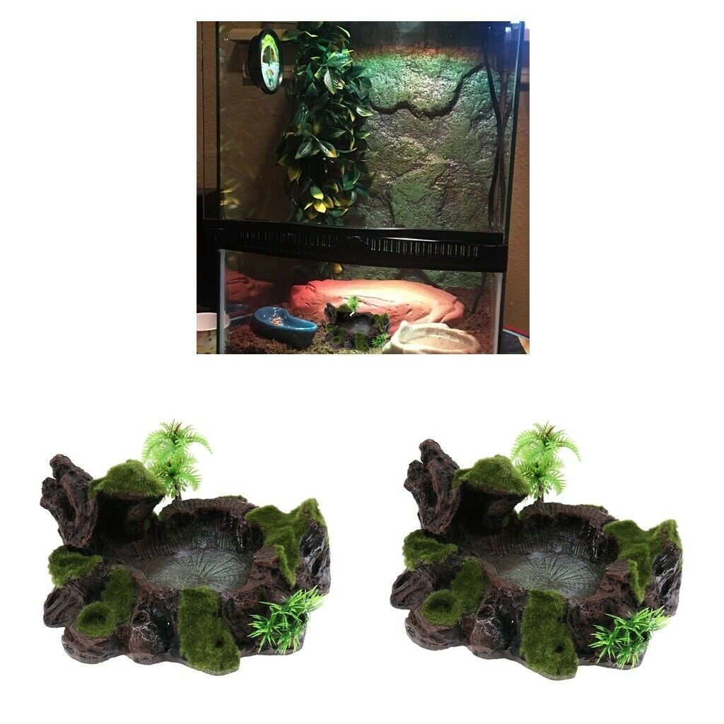 2x Reptile Water Lizards Turtle Feeder Dish for Reptile Bearded Dragons