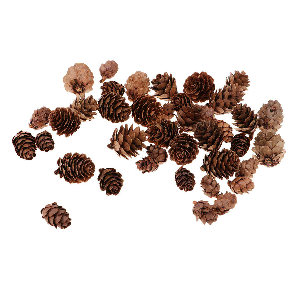 Lots 50x Pine Cones Rustic Pinecones Wedding Wreath Embellishments Crafts
