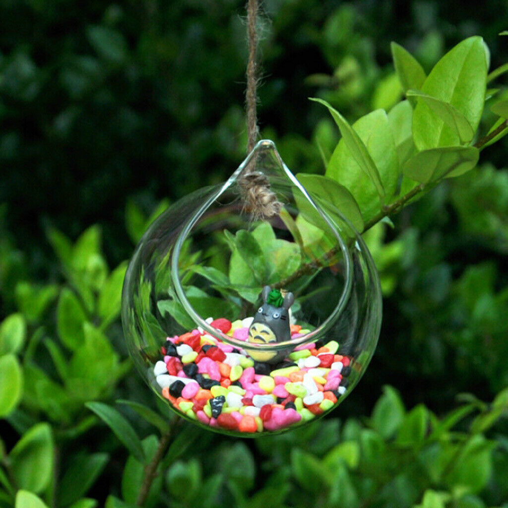 3x Clear Ball Glass Hanging Vase Bottle Terrarium Container Flower Decor