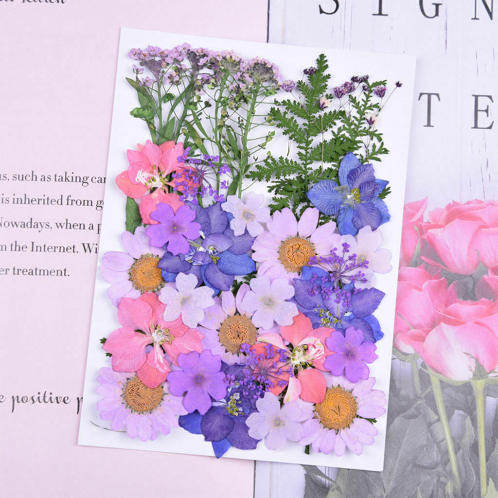 34x / Bag Dried Squeezed Flowers DIY Decors Colorful for Jewelry Making