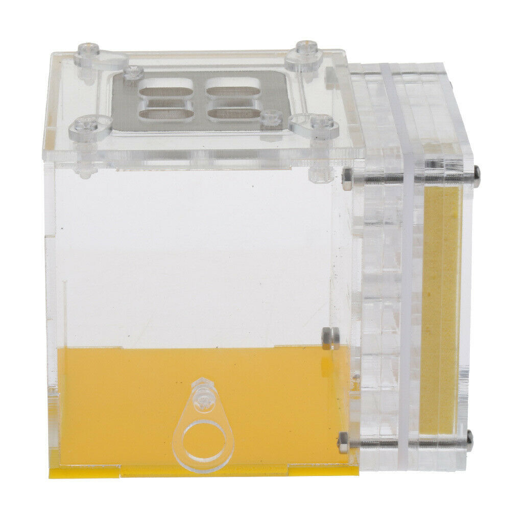 Square Ant Feeder Farm Water Erea For Insect Ant Nests Transparent 10x8x8.3cm