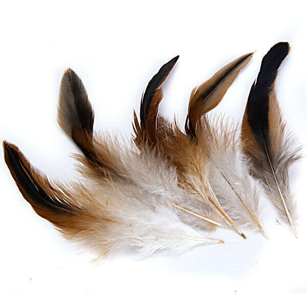 50pcs Natural Rooster Cock Feathers Fascir Costume DIY Sewing Craft 2-6
