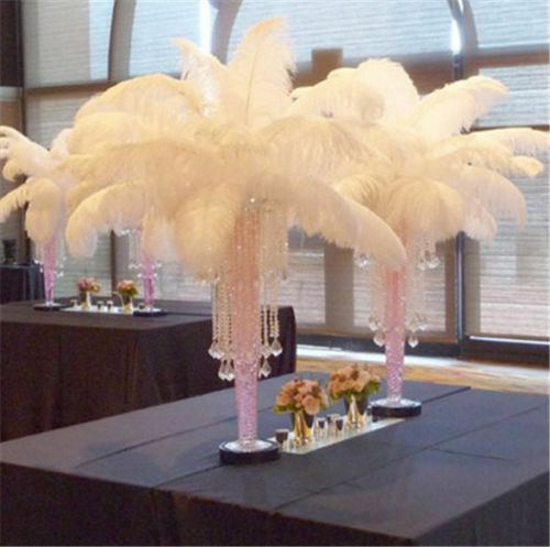 Newest 100 pcs White Ostrich Feathers 10-12 Inch / 25-30 cm Wedding Diy carnival