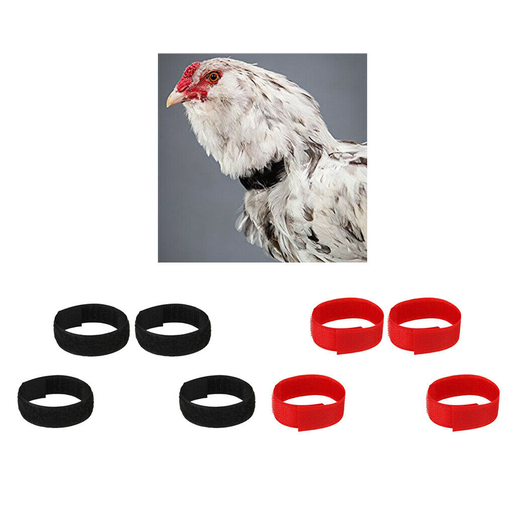 40pcs Chicken Collar Prevent Rooster from Disturbing Neighbors For Duck