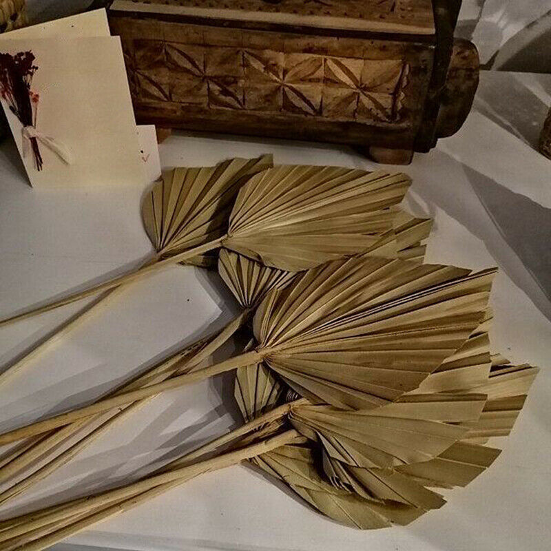 Palm Fan Leaf Dried Flower Palm Leaf Window Wedding Arch Arrangement Party A DF