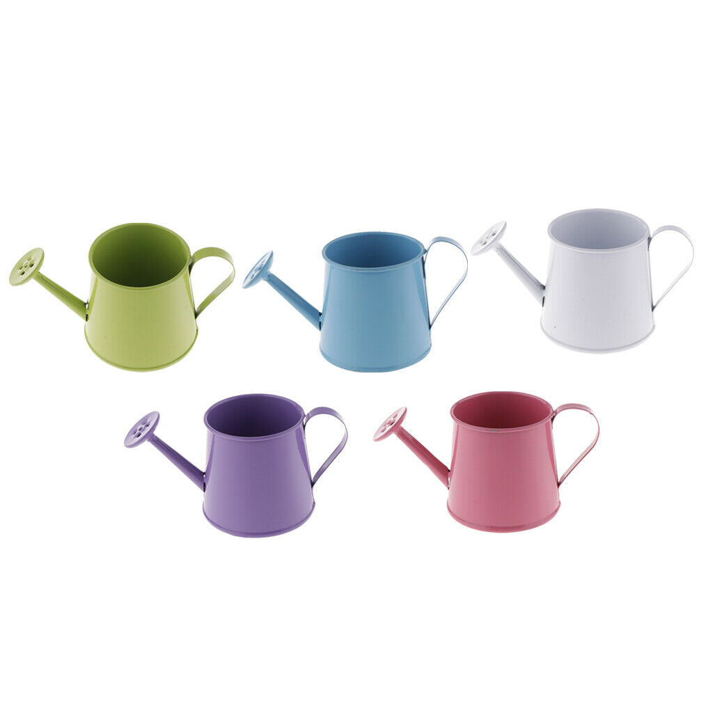 5Pcs Pastoral Style Iron Metal Flower Pot Ornaments Watering Barrel Flowerpot