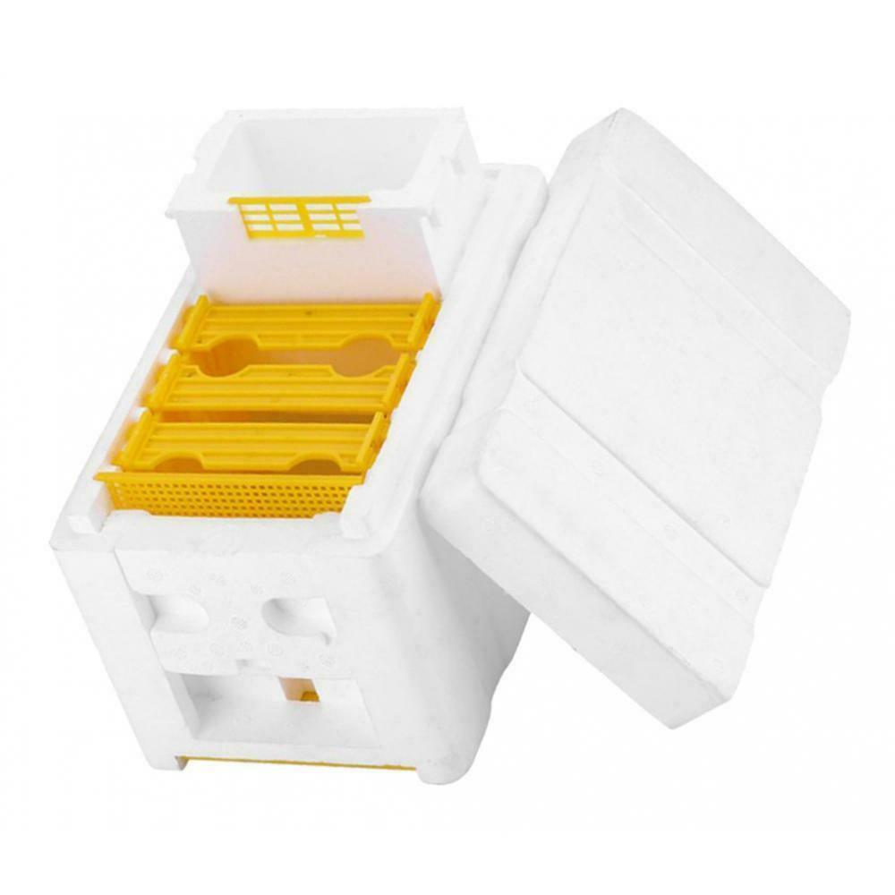 5X Bee Tail Box Bee Pollination Box Beehive King Box for Beekeeper Starter
