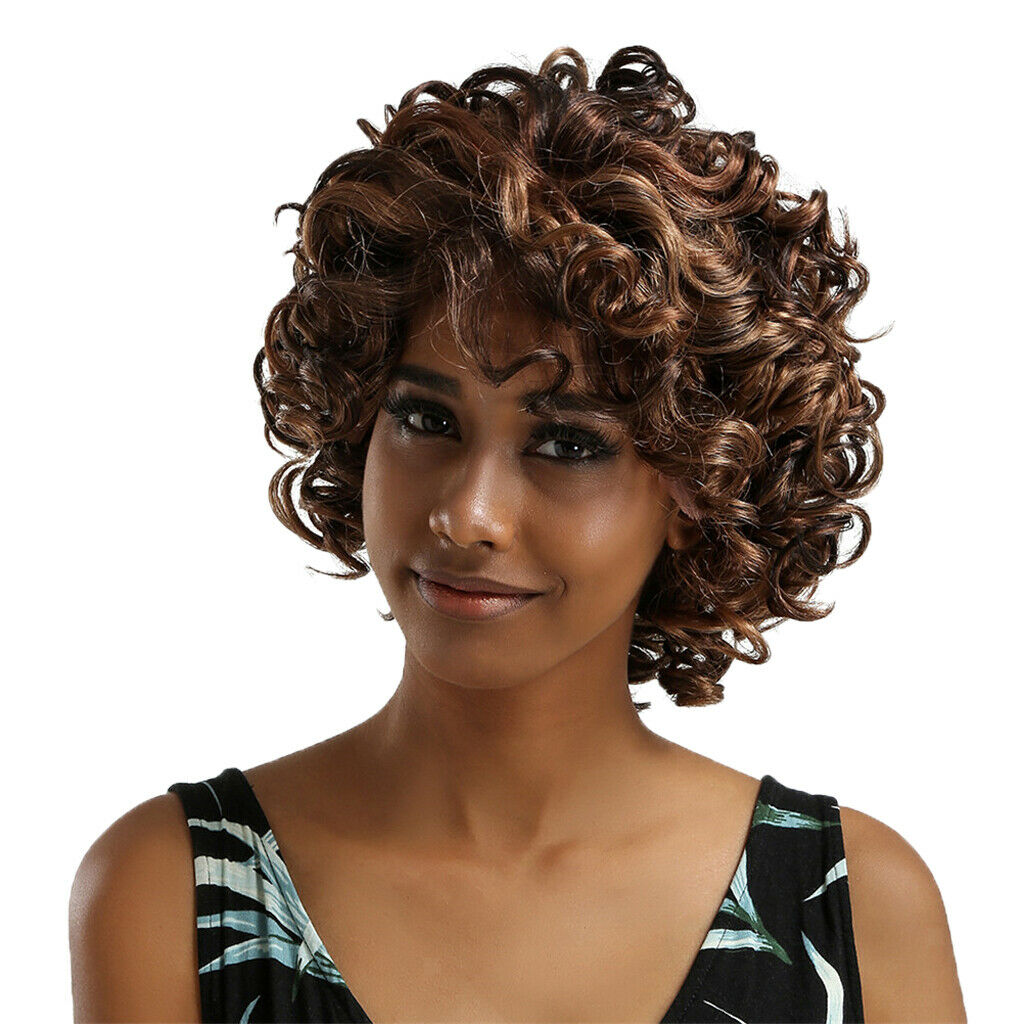 Afro Curly Hair Wig for Women African Hairstyling Wigs 14'' Lace Front Wig