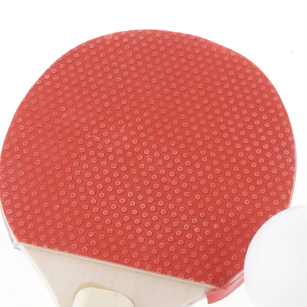Mini Mini Table Tennis Racket Ball Net Set Pingpong Indoor Equip Trainer