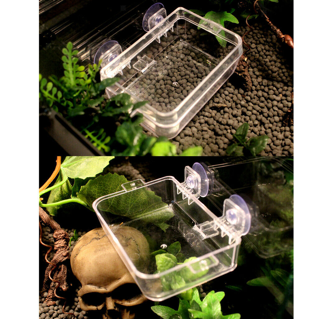 Plastic Transparent Gecko Reptile Water Dish Food Bowl Anti-escape 8.5x6cm