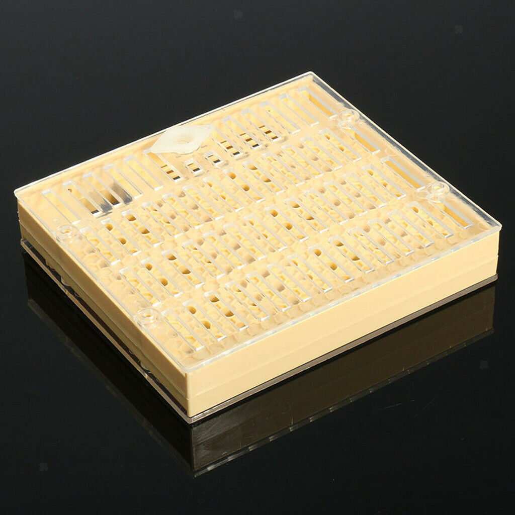 Queen Rearing Cupkit Box Cupularve System Beekeeping Tool Yellow