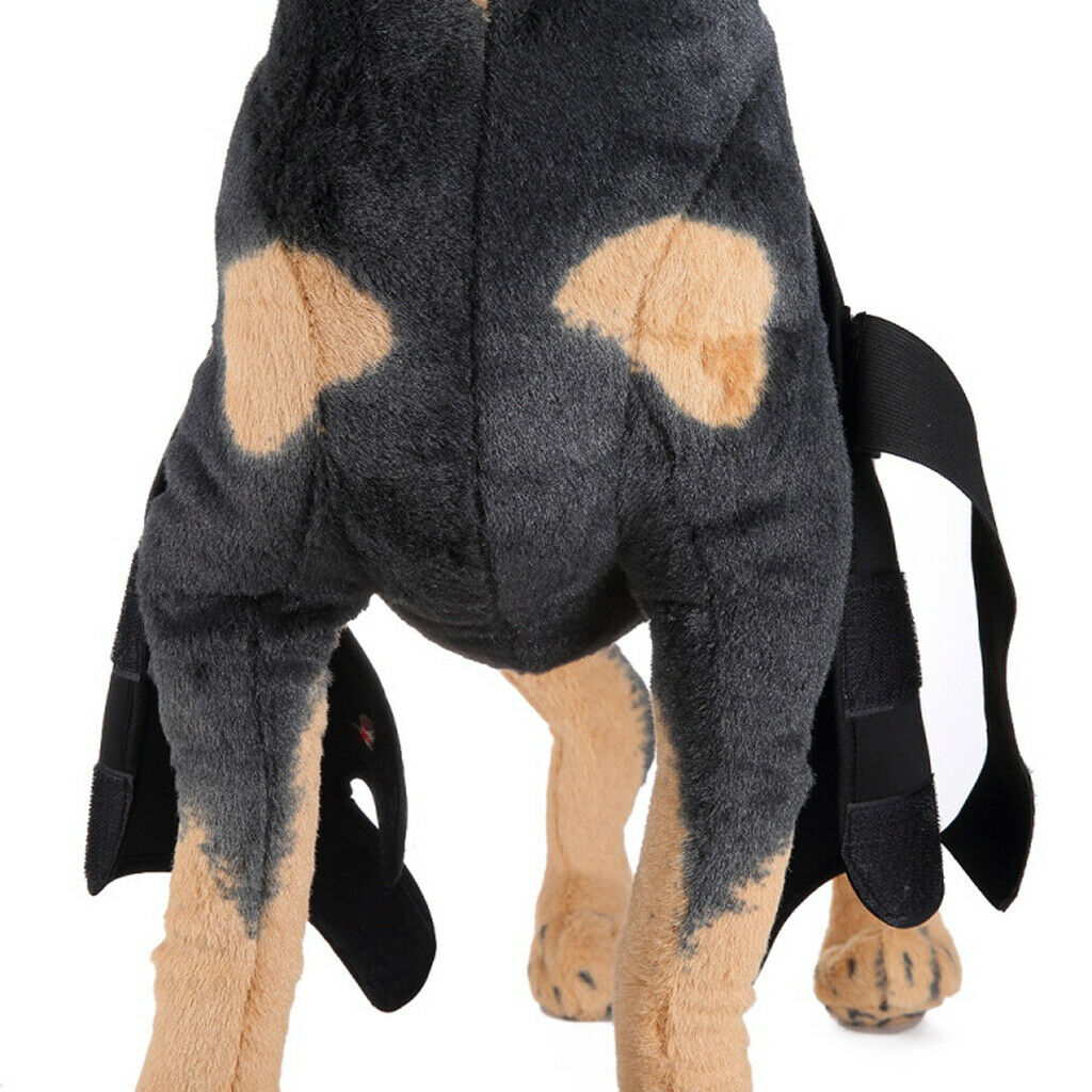 Black M Pet Dog Puppy Front Leg Hock Joint Wrap Protect Wounds