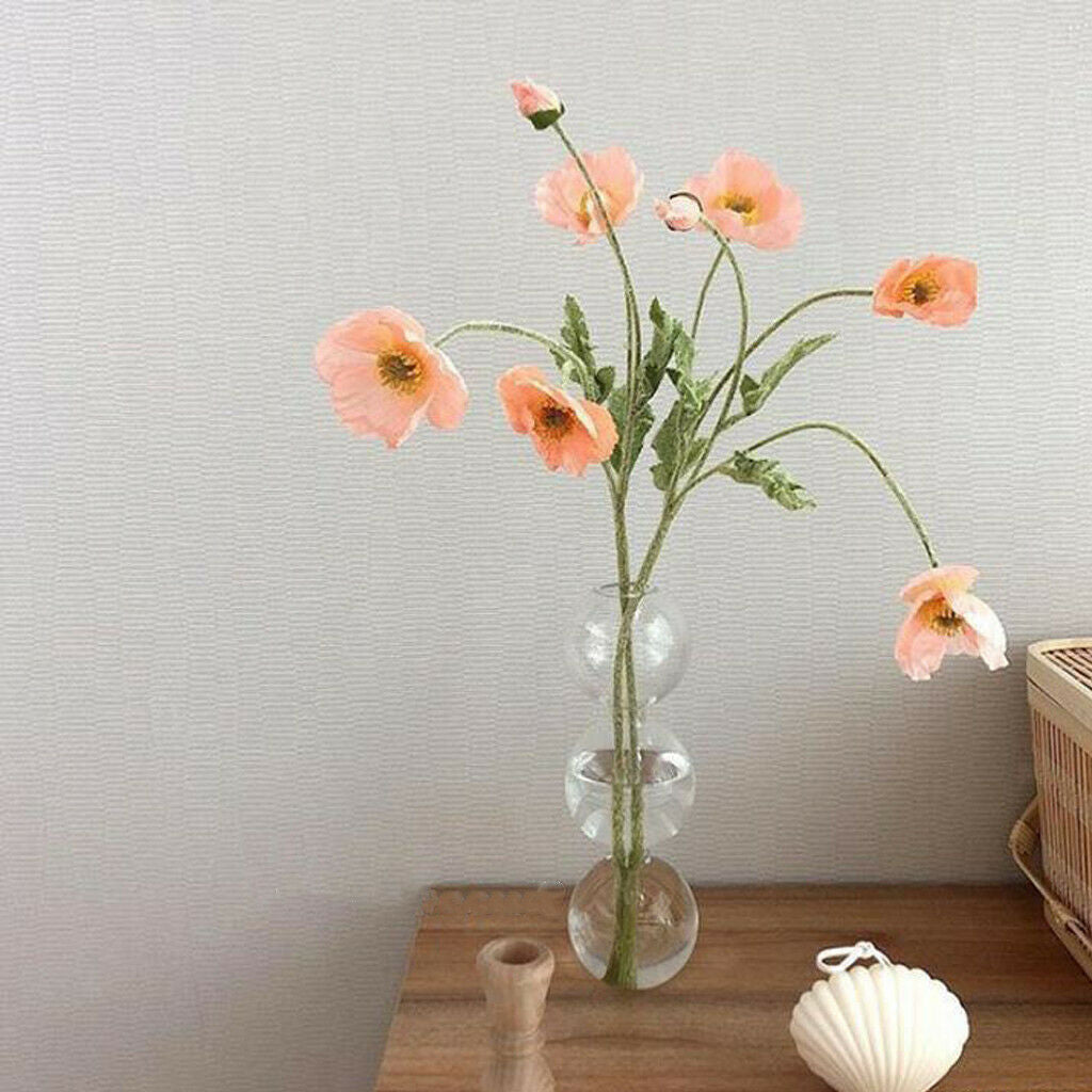 Glass Flower Vase Glass Planter Hydroponics for Bedroom Living Room 3 Balls