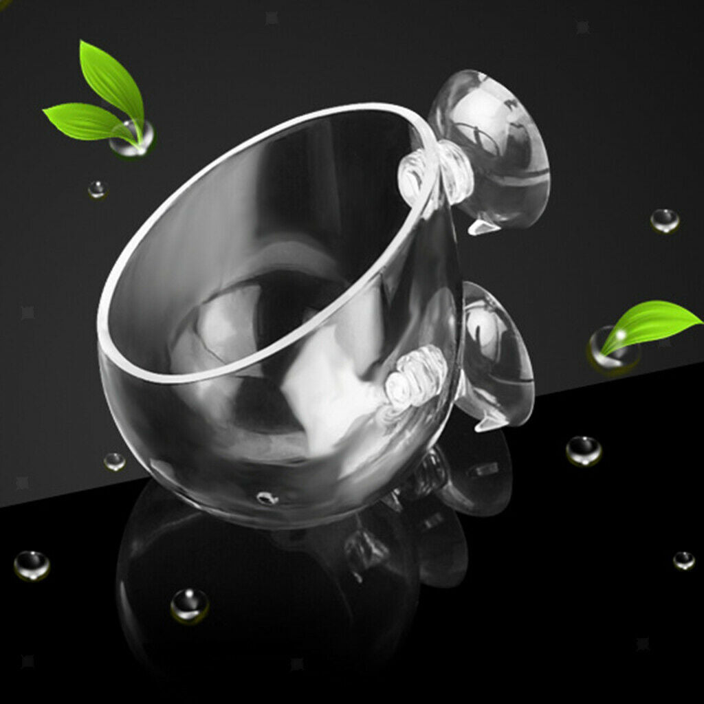 Dia. 6.3cm Clear Crystal Glass Aquatic Plant Cup Pot with Suction Ornament