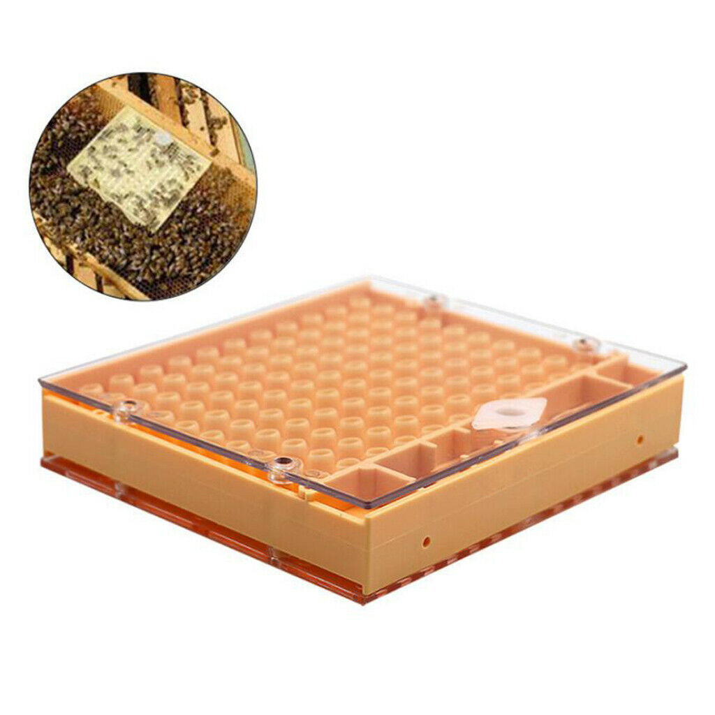Beekeeping Bee Keeper Tools Breeding Queen Bee Cupkit Box System Beekeeping