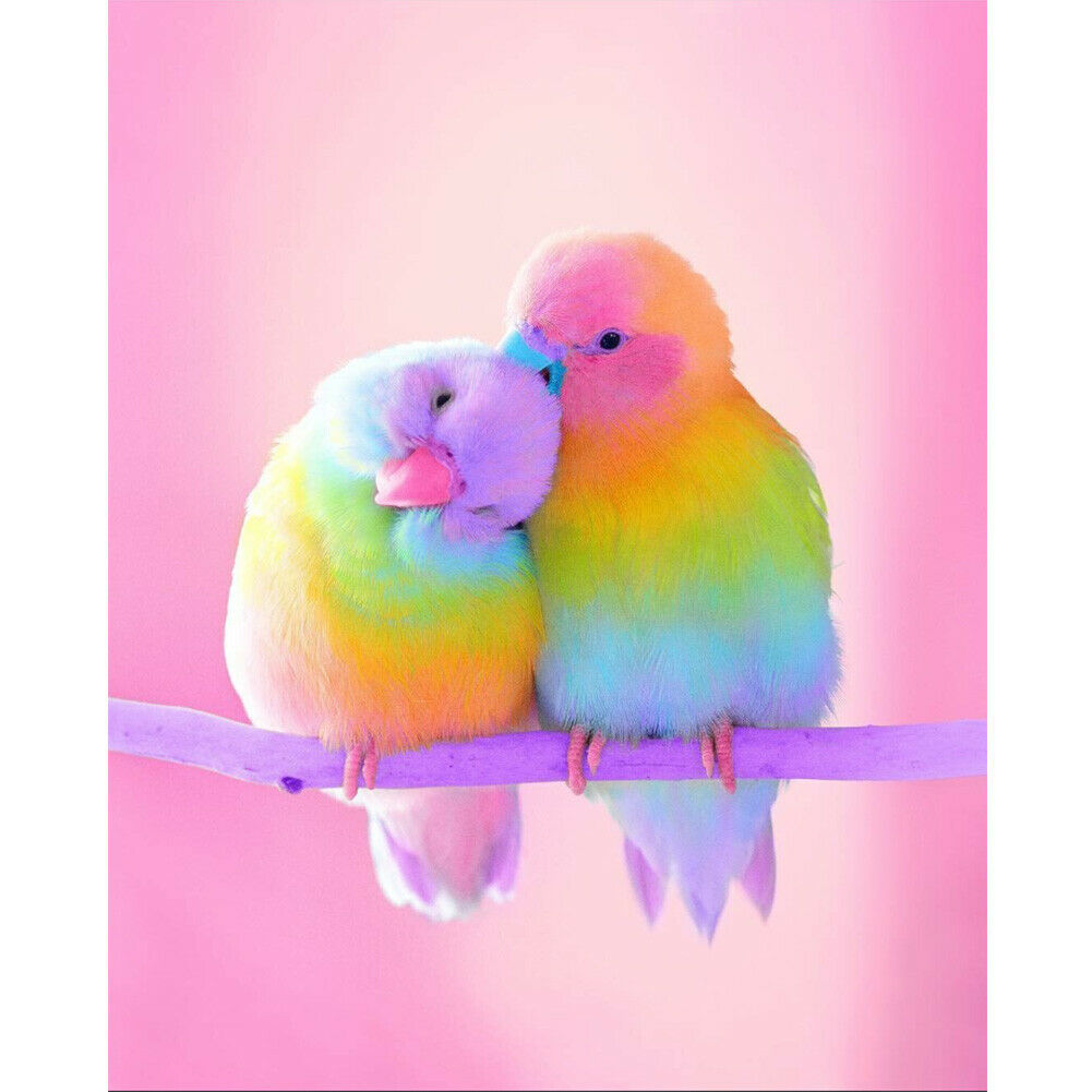 Colorful Bird 5D DIY Full Square Drill Diamond Painting Manual Mosaic Kits @
