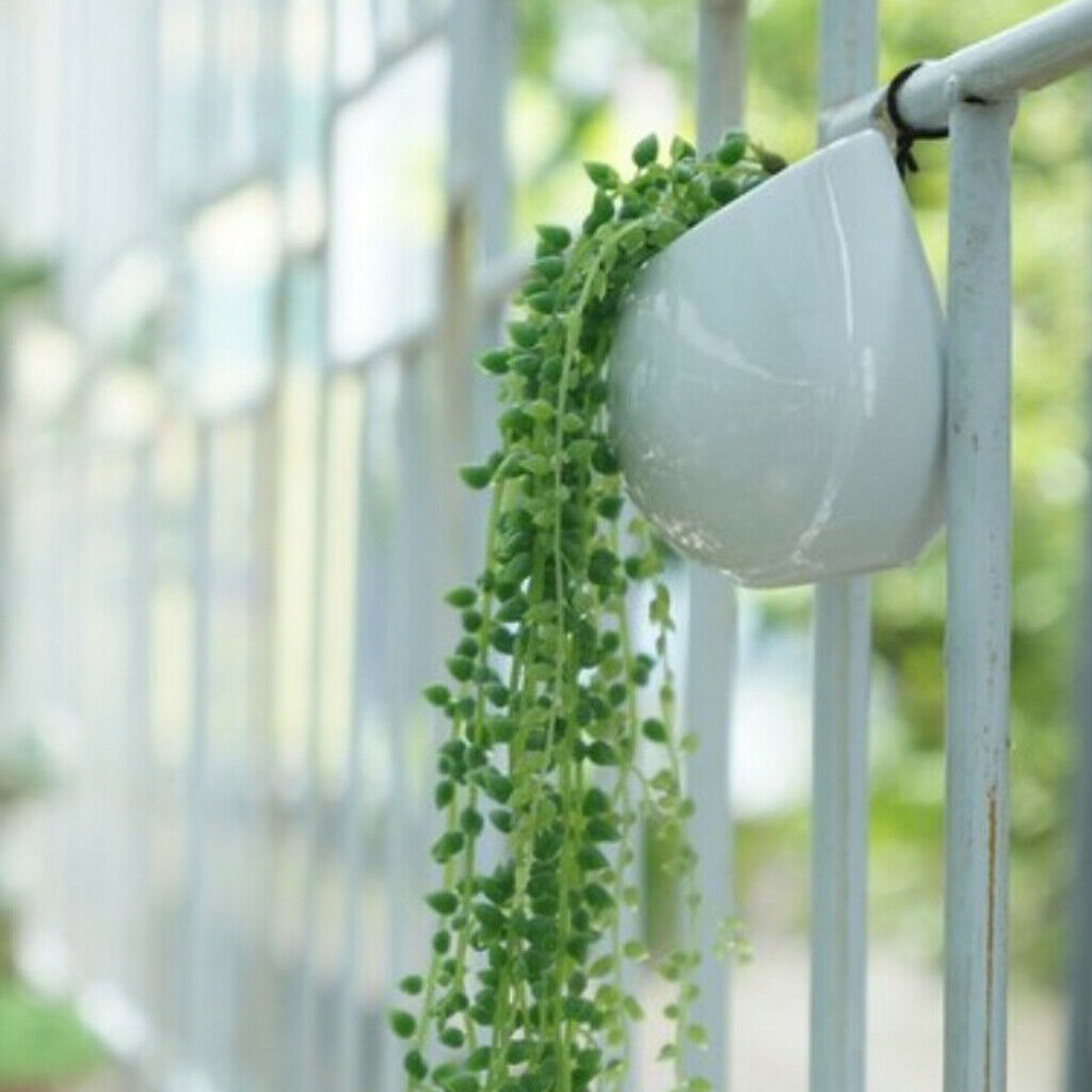 2x Artificial Flower String of Pearls Wall Hanging Succulents Plants Green