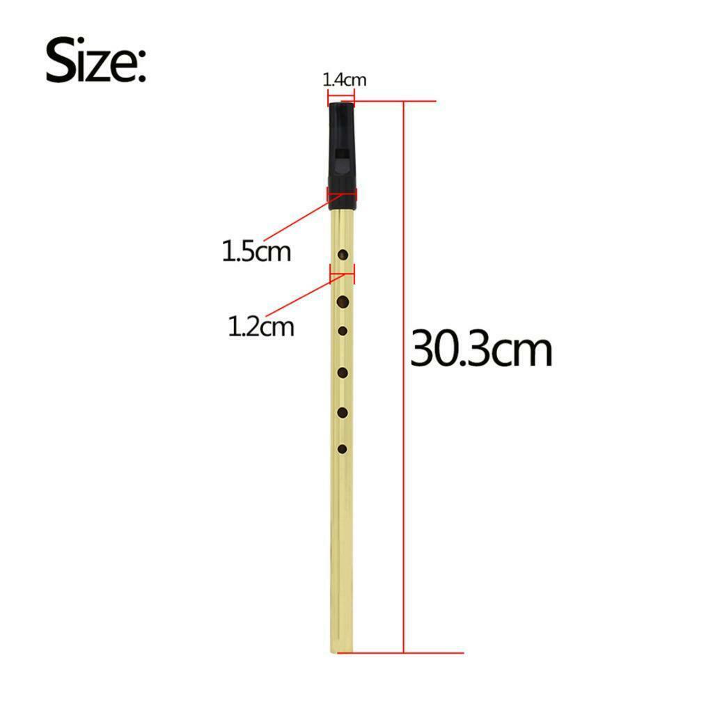 Metal Tin Whistle Irish D Flute Penny Whistle Six-holed Woodwind Golden Part