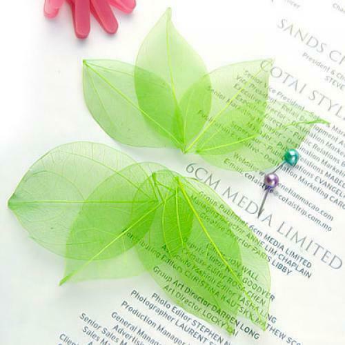 200 Pieces Mixed Styles Wooden Stars +Natural Skeleton Leaves For DIY Charms