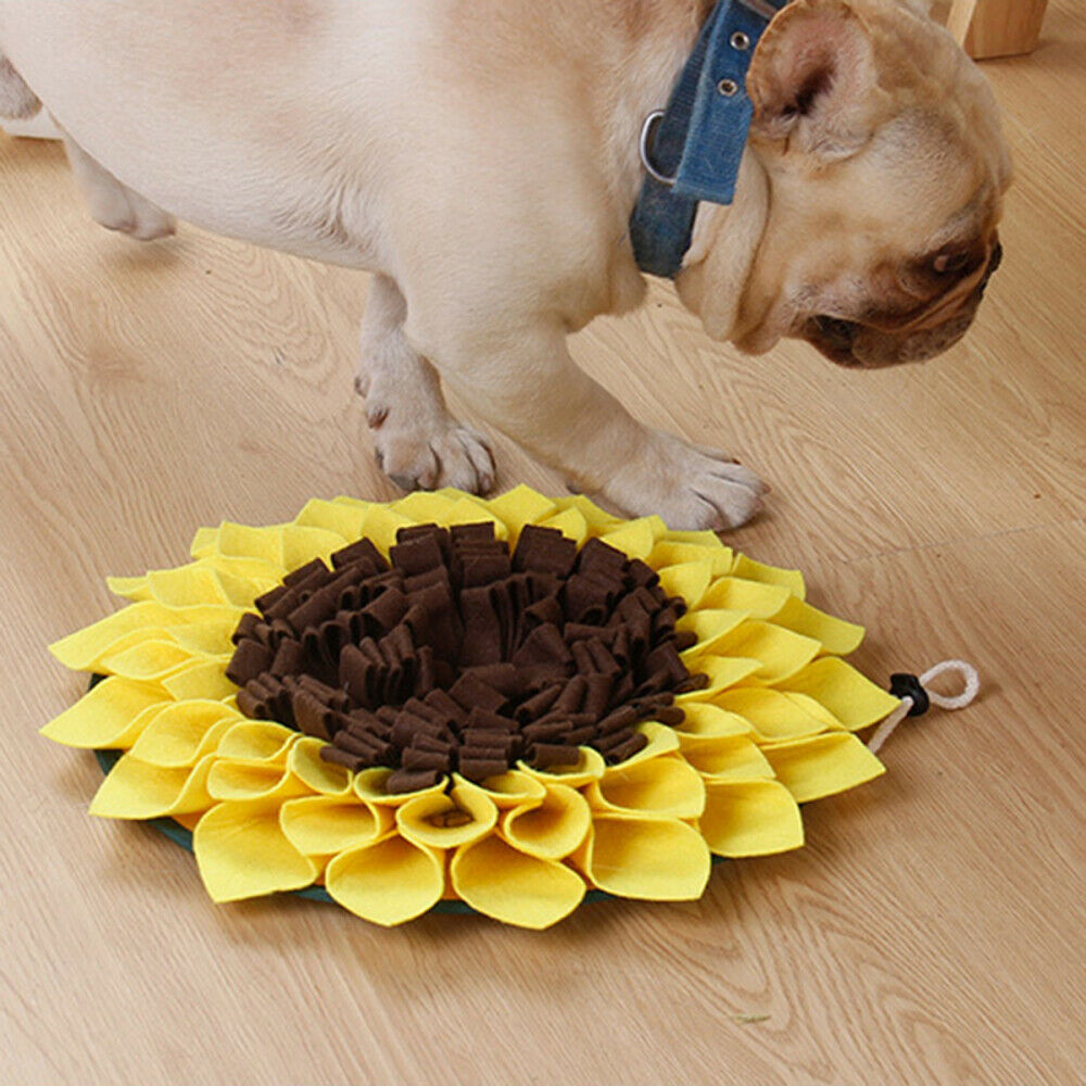 Dog Snuffle Mat Nosework Play Sniffing Training Pet Pad Dog Puzzle Toys