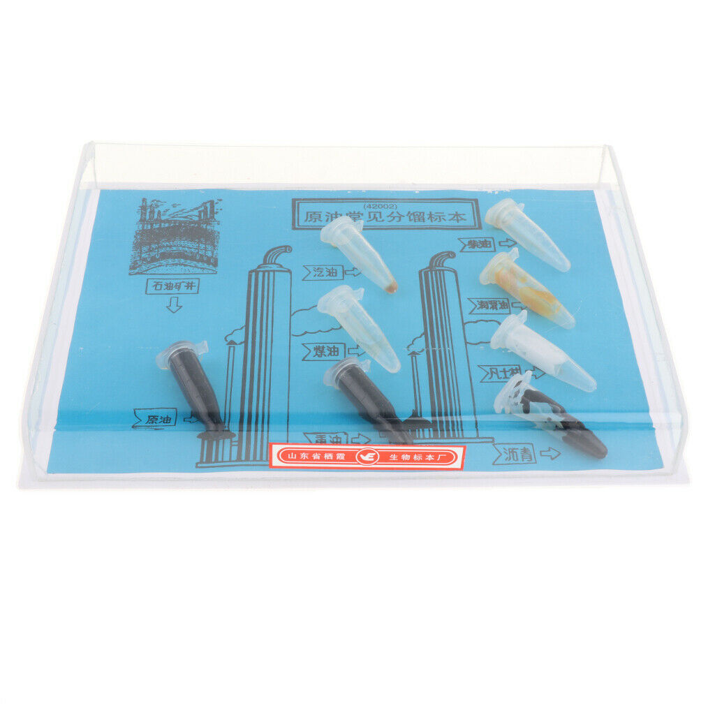 Children Educational School Experience - Oil Specimen