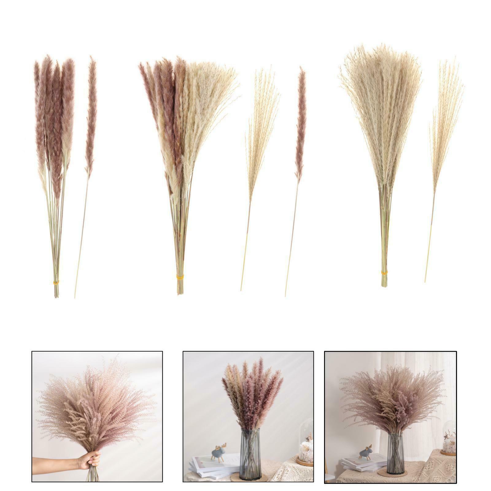 Pack of 70 Natural Dried Pampas Grass Home Party Boho Decor Photograph Props