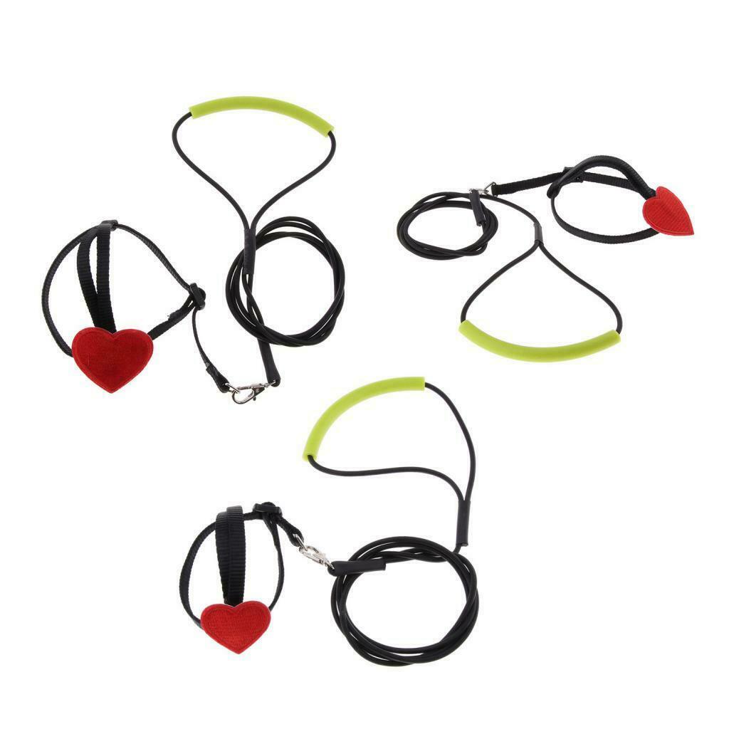 Soft Elastic Parrot Bird Leash Bird Harness Leash for Budgerigar Lovebird