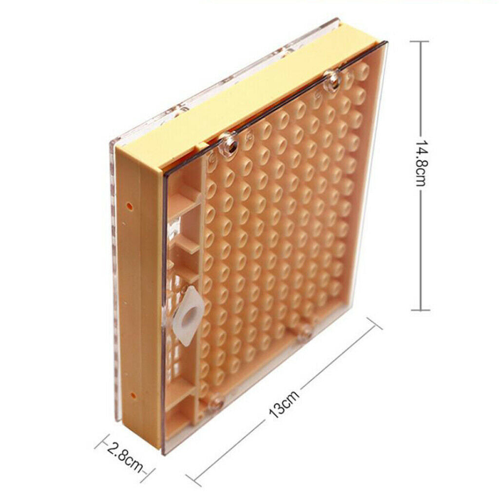 Beekeeping Bee Keeper Tools Breeding Queen Bee Cupkit Box System Beekeeping
