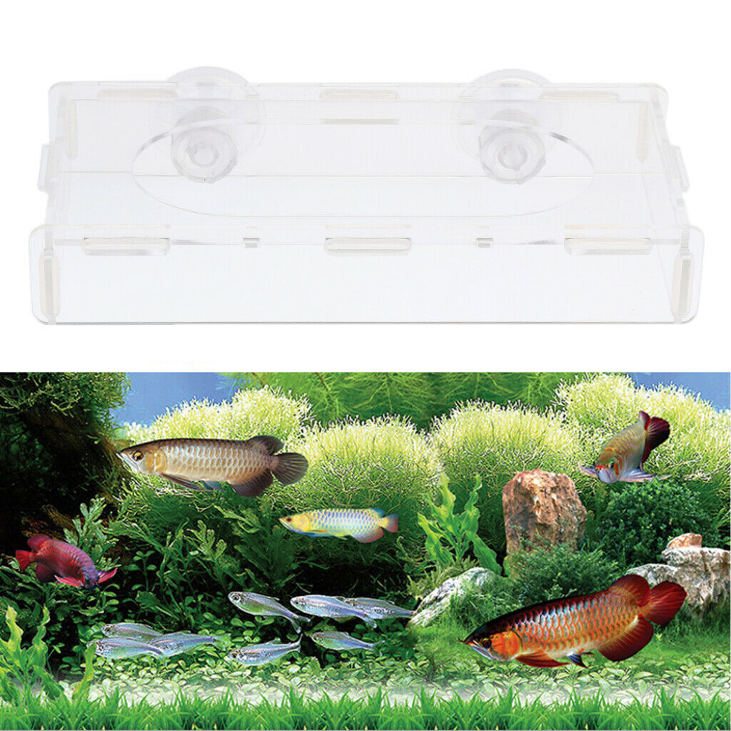 Floating Feeding Ring Feeder   Food Feeder For Aquarium 23x10.5x4cm