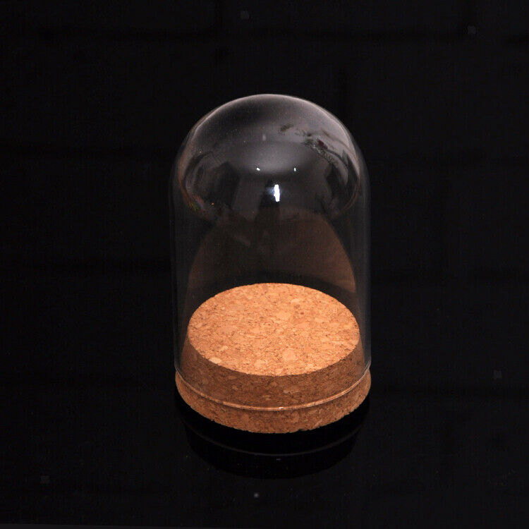 4" Mini Bell Dome Cover Jar Case Wooden Base Micro Landscape Cabochon Holder