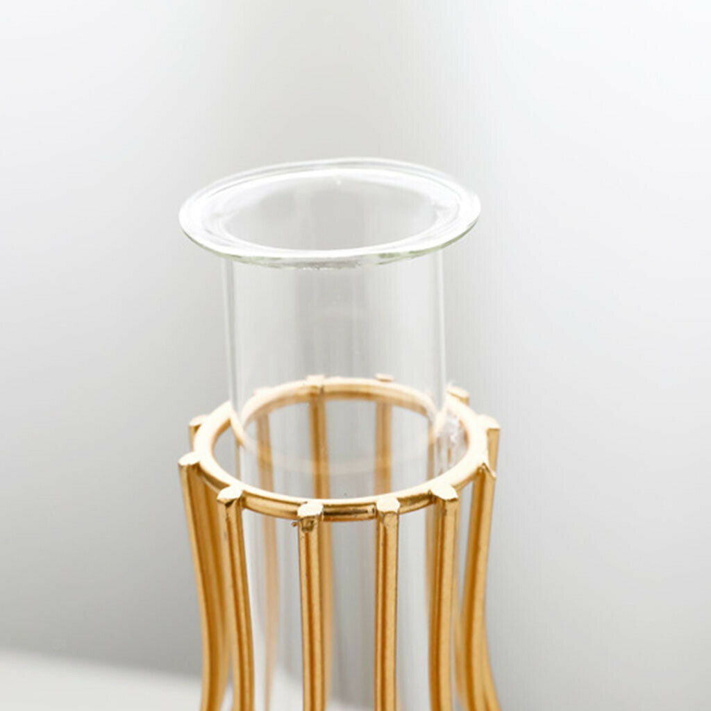 Hydroponic Flower Vase Bud Test Tubes Vases Display for Home Office Decor