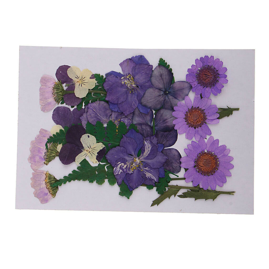 3 Bags Mix Natural Dried Pressed Flowers, Leaves, Crafts And Crafts 2-3.5 Cm