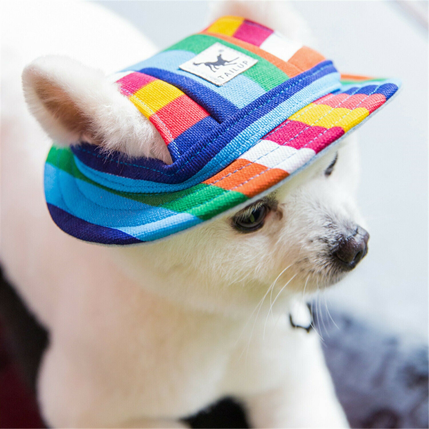 New Ornaments Accessories Beach Dog Cap Pet Canvas Cap Puppy Outdoor Visor Hat
