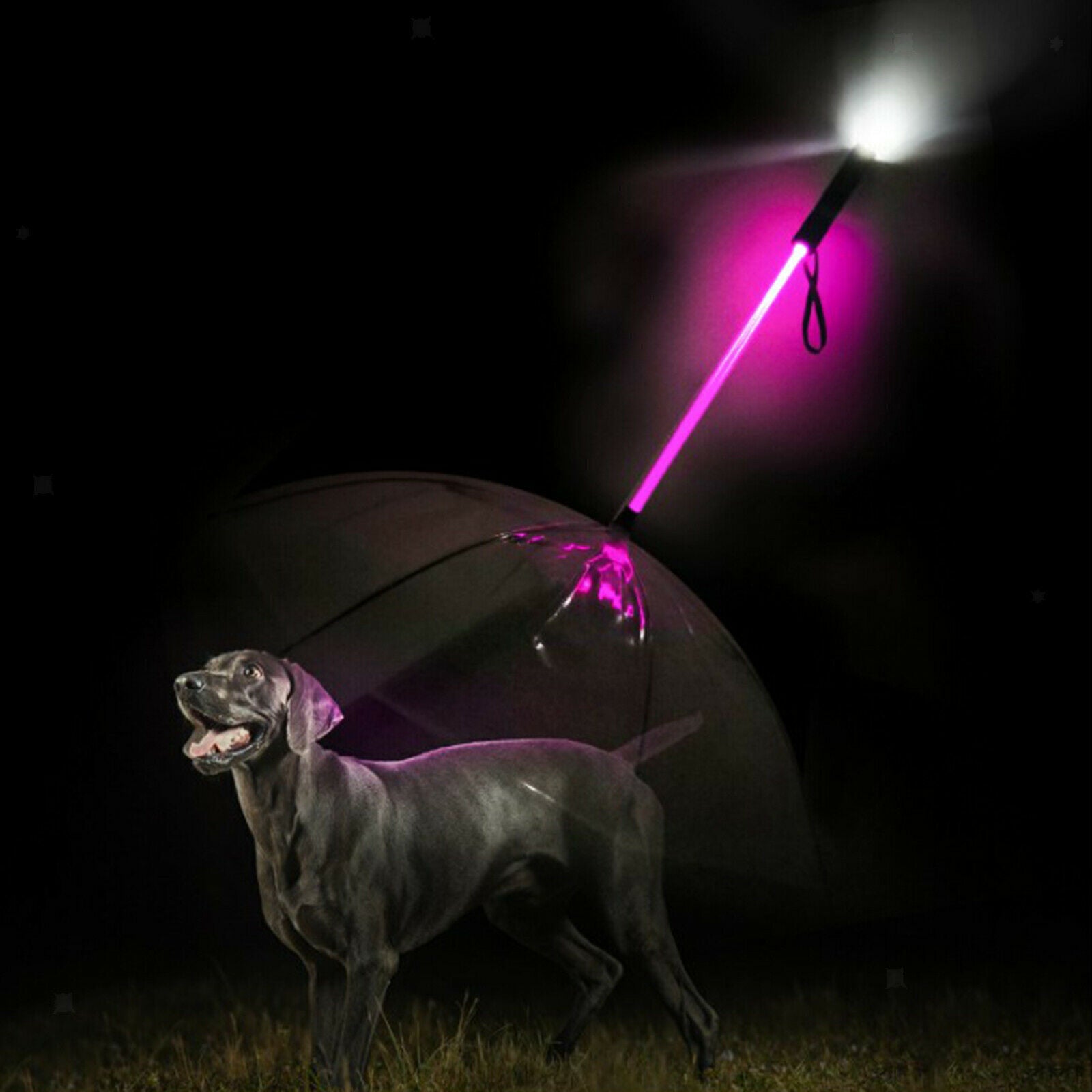 Dog Umbrella Leash Rainproof Doggy Umbrella Leash Supplies with Flashlight