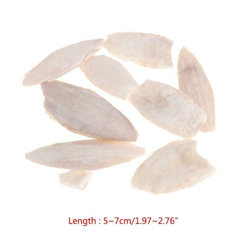 Cuttlebone Cuttlefish Sepia Bone Cuttle Fish Bird Food Calcium Pickstone Pet