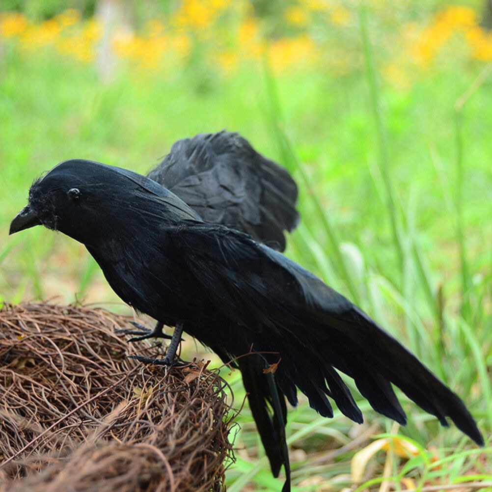 Artificial crow garden flocked halloween decoration birds crow decoy raven H Pb