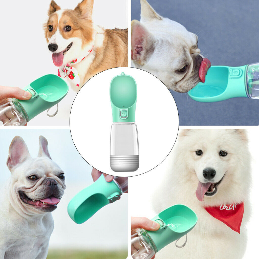 Dog Bottle Puppy Cat Drinking Food Dispenser Feeder for Walking Green