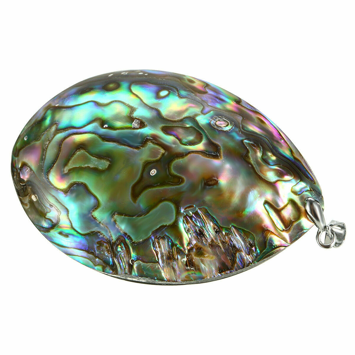 Seashell Abalone Shell Pendant Smudging Beach House Decor Natural Rainbow Gifts