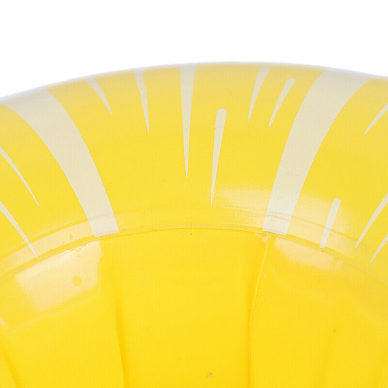 Cute Mini Fruit Floating Inflatable Drink Holder Swimming Pool Beach Party TY1