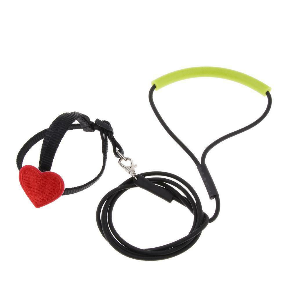Adjustable Elastic Parrot Bird Leash for Budgerigar Lovebird Cockatiel 105cm