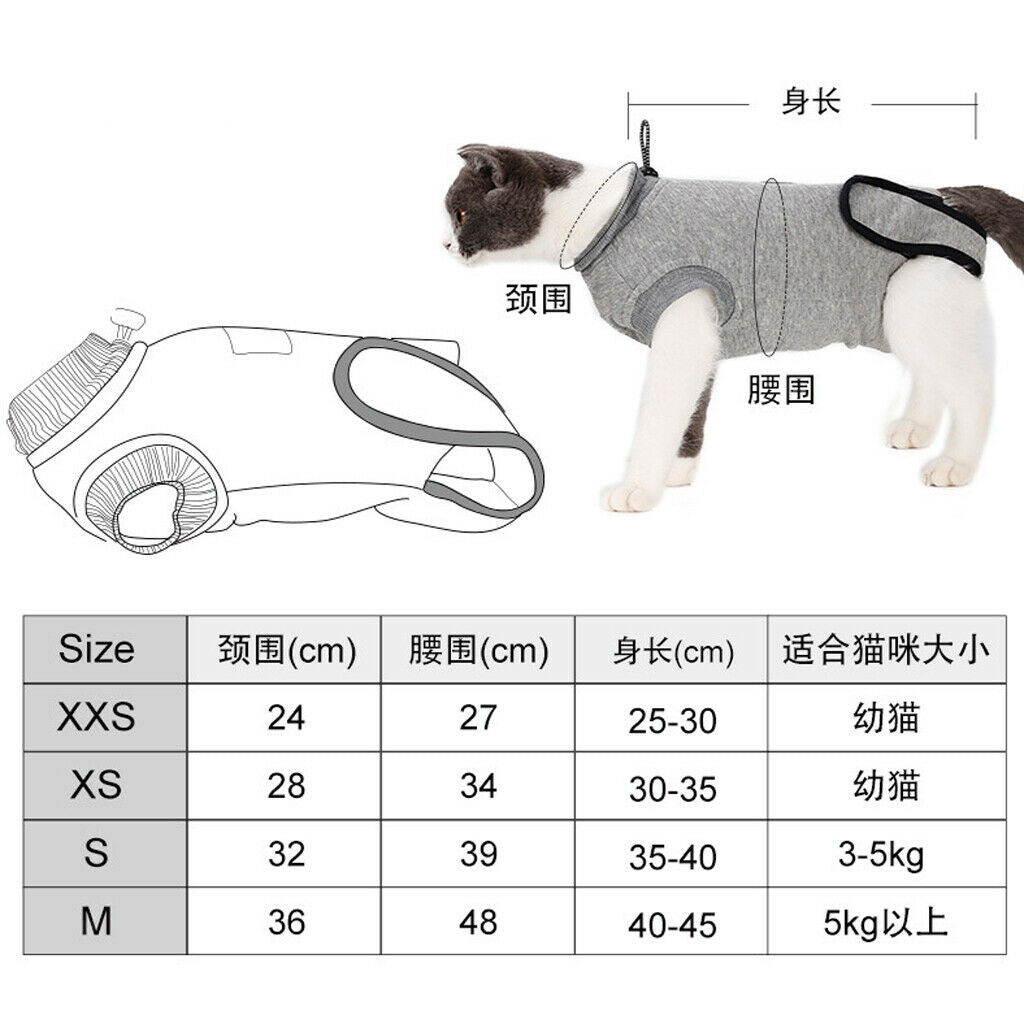 Cat Professional Recovery Suit for Abdominal Wounds or Skin Diseases, E-Collar