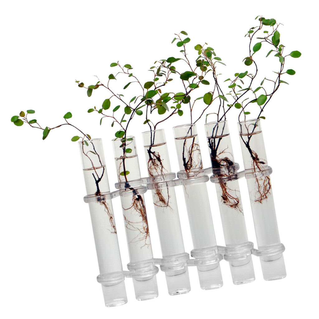 6x Glass Tubes Shape Hanging Hydroponic Flower Plant Vase Terrarium Container