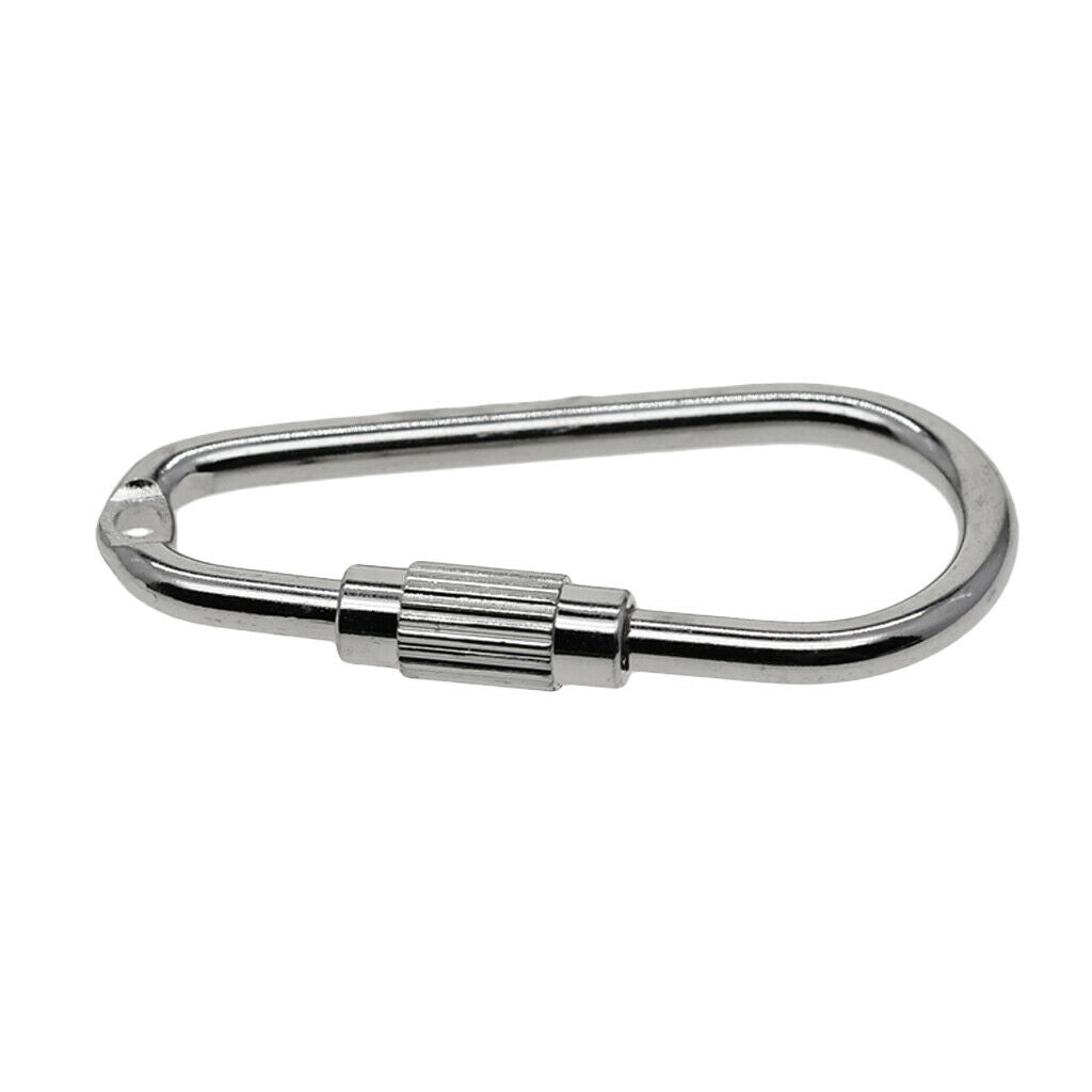 10 Pieces Alloy Carabiner Keychain Mini Carabiner Small